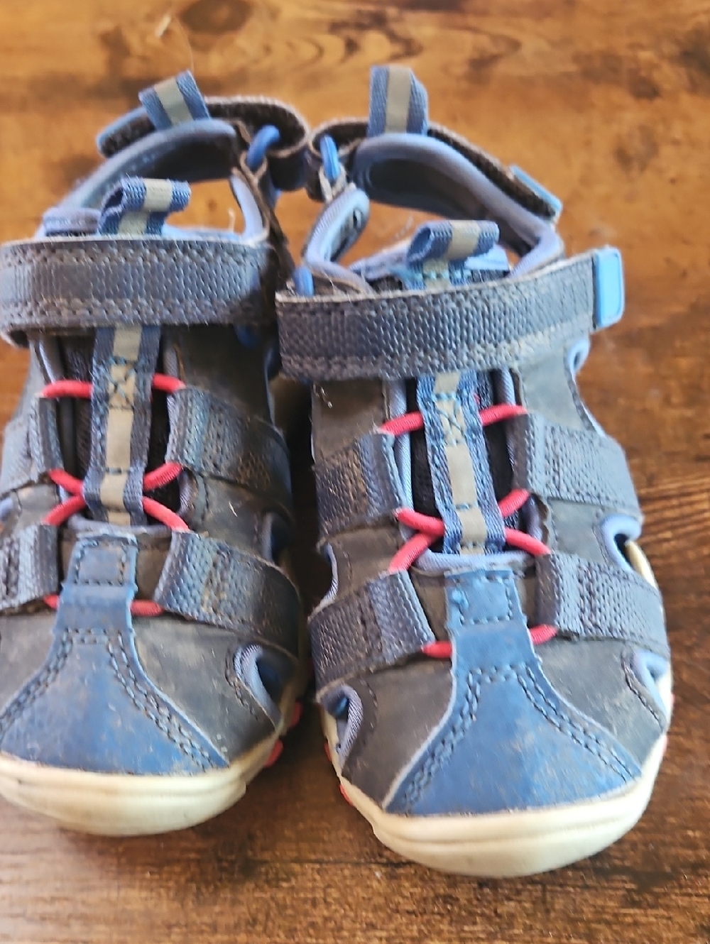 Cat & Jack Blue Kids Closed-Toe Active Sandals with Red Accents